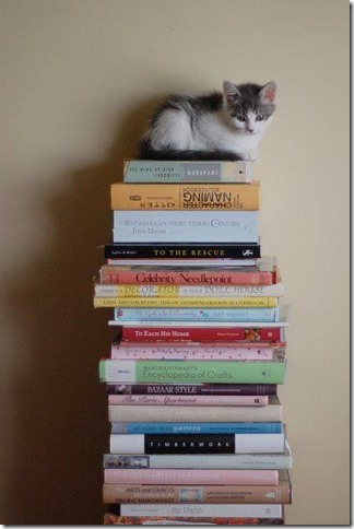 booksalekitten[1]